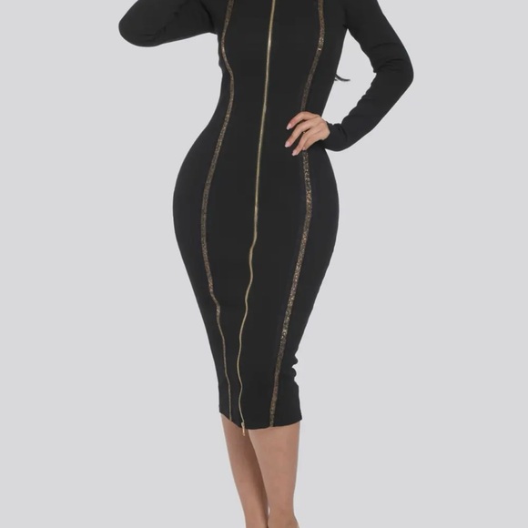 Midi Dress with Gold Trim Detail and 2 Way zipper - Picture 7 of 8